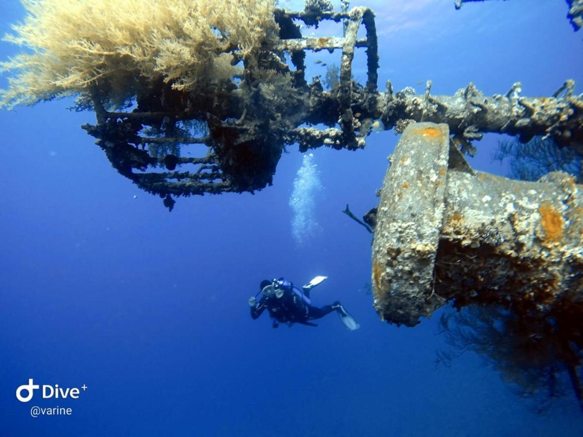 Aqaba Pro Divers المظهر الخارجي الصورة