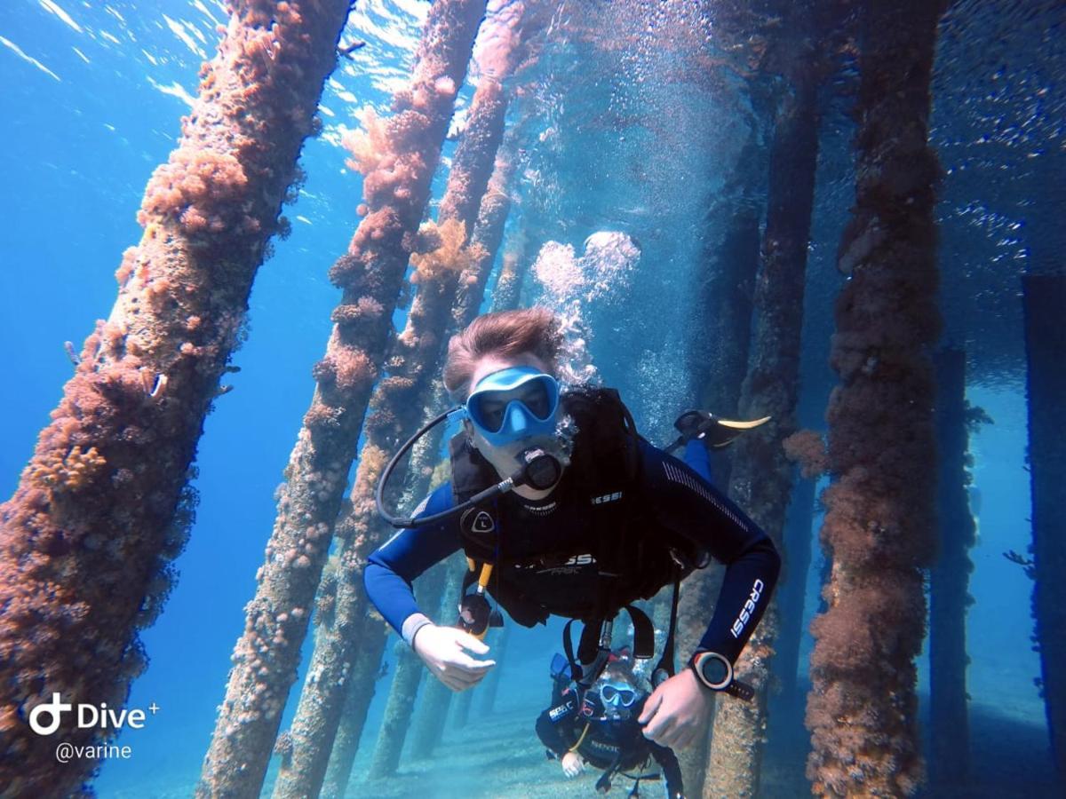 Aqaba Pro Divers المظهر الخارجي الصورة
